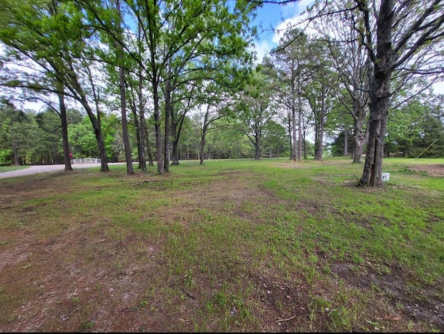 16798 Cathcart Dr, Houston, MO 65483 - photo 5