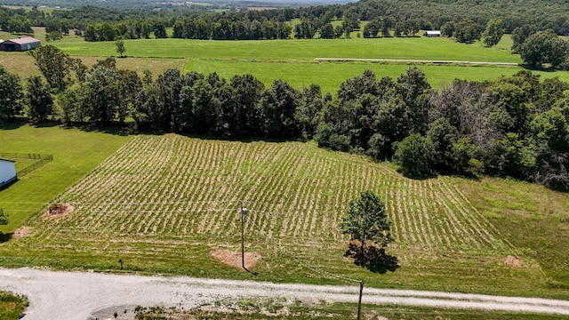 2490 S Farm Rd Unit 249, Buffalo, MO 65622