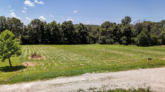 2490 S Farm Rd Unit 249, Buffalo, MO 65622