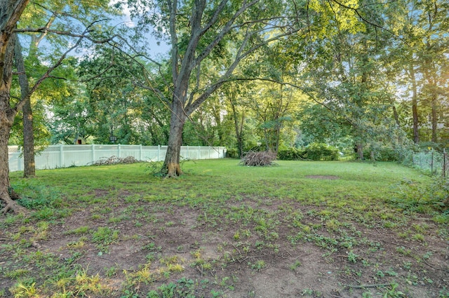 225 S Main St, Greenfield, MO 65661 - view of yard
