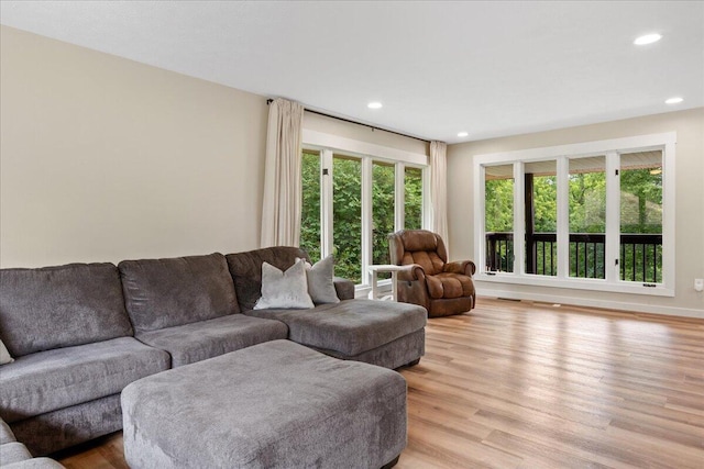 103 W Secluded Ln, Nixa, MO 65714 - living area featuring light wood finished floors and recessed lighting