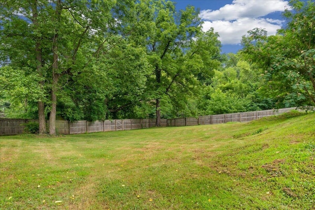 103 W Secluded Ln, Nixa, MO 65714 - view of yard