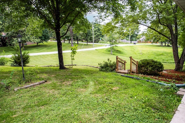 1719 N Pine St, Marshfield, MO 65706 - view of grassy yard