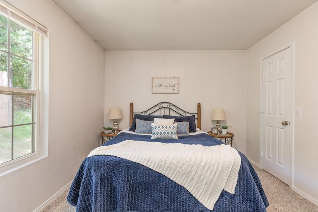174 Shawn Dr, Kirbyville, MO 65679 - photo 20