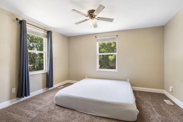 526 S Mccanse St, Mount Vernon, MO 65712 - bedroom with multiple windows, carpet floors, and a ceiling fan