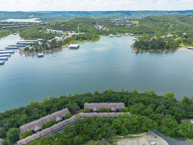 348 Sunset Cv Unit 413, Branson, MO 65616 - bird's eye view of a large body of water and a heavily wooded area
