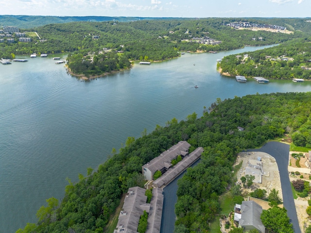 348 Sunset Cv Unit 413, Branson, MO 65616 - aerial view of a large body of water and a heavily wooded area