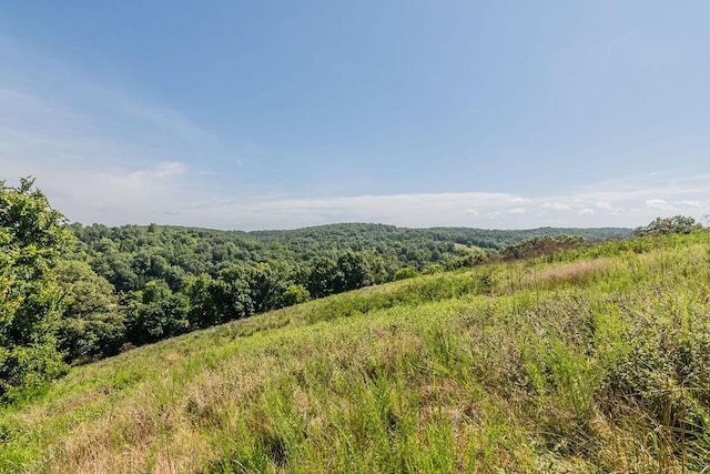 32103 State Highway 413, Galena, MO 65656 - photo 58