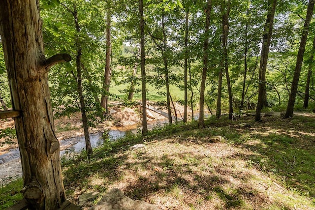 32103 State Highway 413, Galena, MO 65656 - photo 46