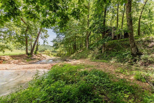 32103 State Highway 413, Galena, MO 65656 - photo 39
