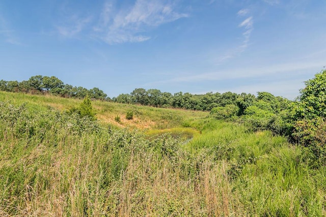 32103 State Highway 413, Galena, MO 65656 - photo 57