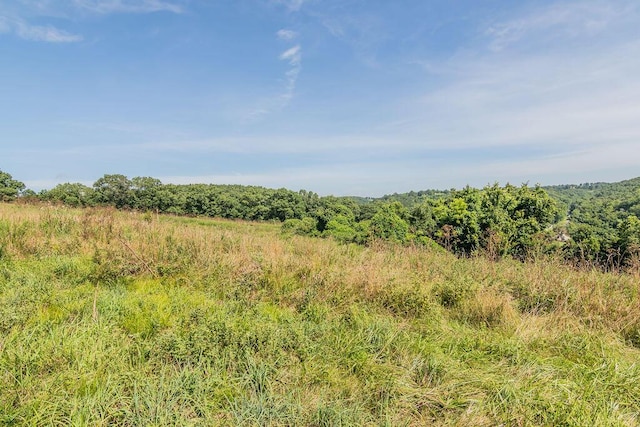 32103 State Highway 413, Galena, MO 65656 - photo 56