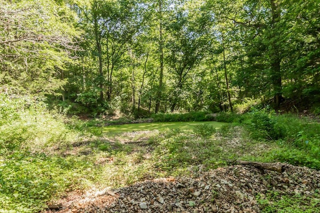 32103 State Highway 413, Galena, MO 65656 - photo 63