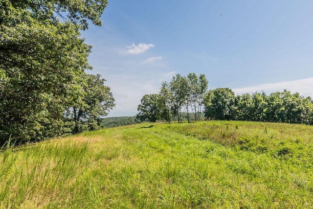 32103 State Highway 413, Galena, MO 65656 - photo 61