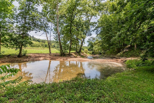 32103 State Highway 413, Galena, MO 65656 - photo 38