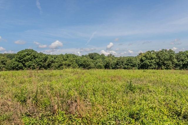 32103 State Highway 413, Galena, MO 65656 - photo 64
