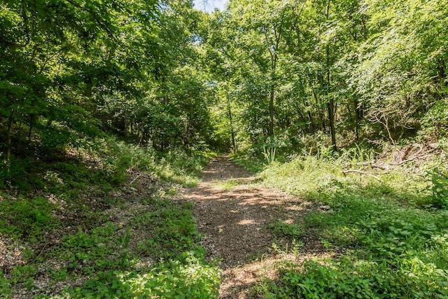 32103 State Highway 413, Galena, MO 65656 - photo 66