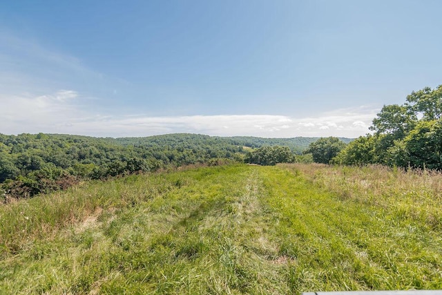 32103 State Highway 413, Galena, MO 65656 - photo 59