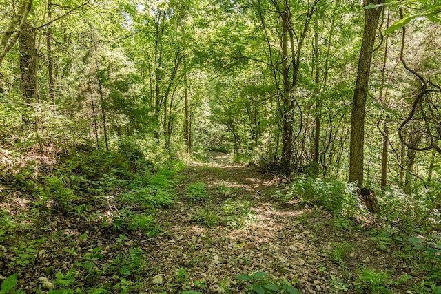 32103 State Highway 413, Galena, MO 65656 - photo 62