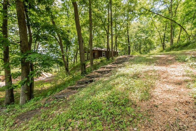 32103 State Highway 413, Galena, MO 65656 - photo 47
