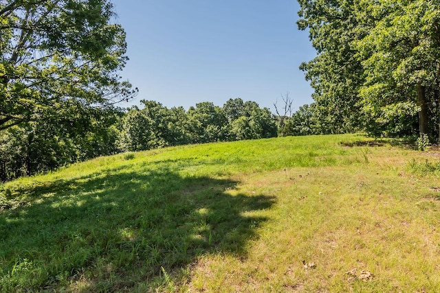 32103 State Highway 413, Galena, MO 65656 - photo 60