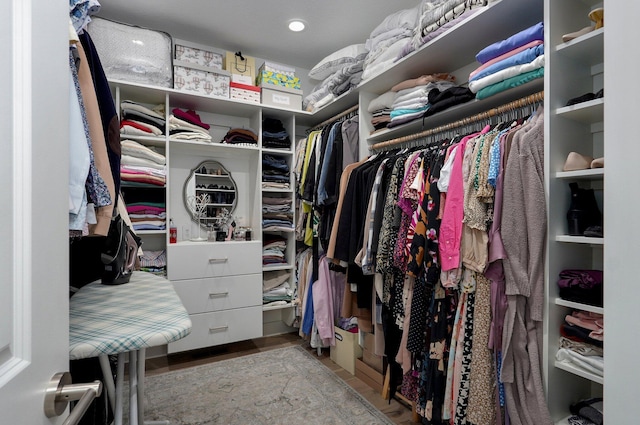 4113 S Farm Rd Unit 223, Rogersville, MO 65742 - view of spacious closet