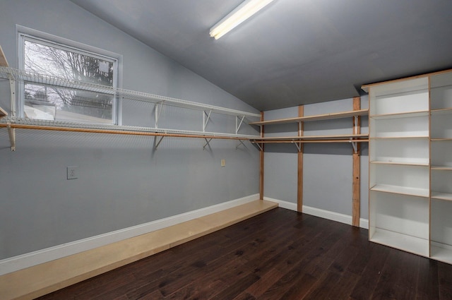 4113 S Farm Rd Unit 223, Rogersville, MO 65742 - spacious closet featuring vaulted ceiling and dark wood-style floors