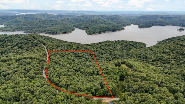 000 Buttermilk Spring Rd, Galena, MO 65656 - photo 3