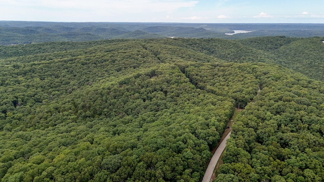 000 Buttermilk Spring Rd, Galena, MO 65656 - photo 20
