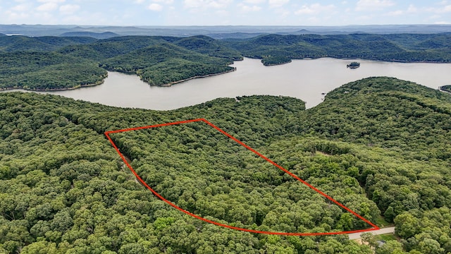 000 Buttermilk Spring Rd, Galena, MO 65656 - photo 1