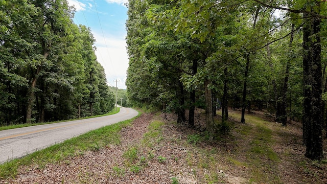 000 Buttermilk Spring Rd, Galena, MO 65656 - photo 4