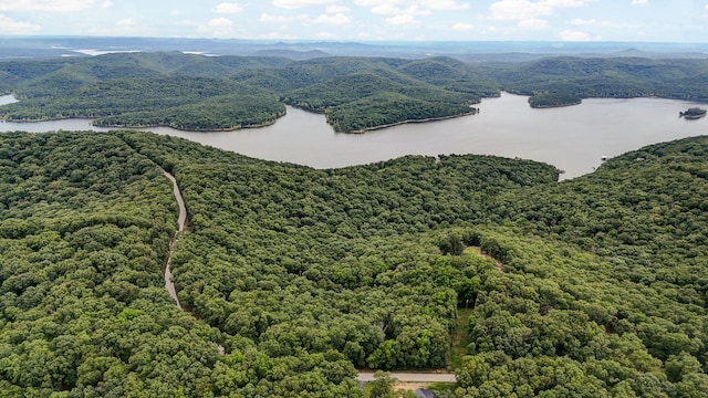 000 Buttermilk Spring Rd, Galena, MO 65656 - photo 15
