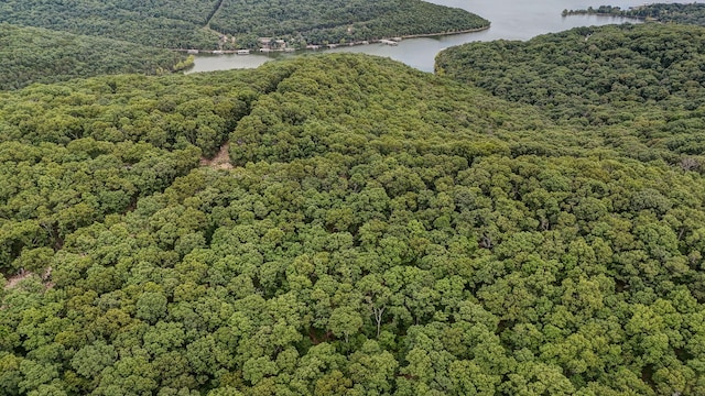 000 Buttermilk Spring Rd, Galena, MO 65656 - photo 14