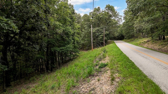 000 Buttermilk Spring Rd, Galena, MO 65656 - photo 8