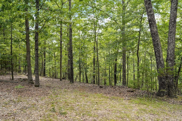 000 Buttermilk Spring Rd, Galena, MO 65656 - photo 10
