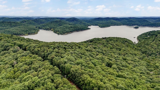 000 Buttermilk Spring Rd, Galena, MO 65656 - photo 11
