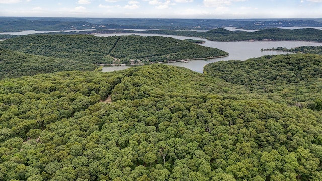 000 Buttermilk Spring Rd, Galena, MO 65656 - photo 13