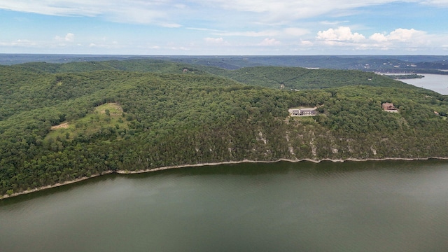 000 Buttermilk Spring Rd, Galena, MO 65656 - photo 23