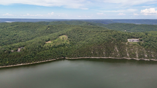 000 Buttermilk Spring Rd, Galena, MO 65656 - photo 24
