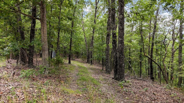 000 Buttermilk Spring Rd, Galena, MO 65656 - photo 5