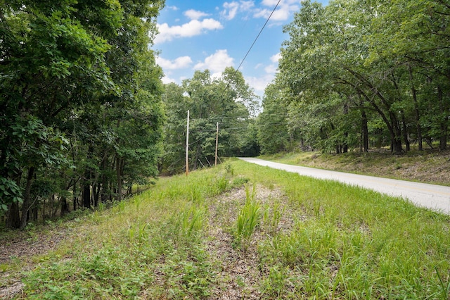 000 Buttermilk Spring Rd, Galena, MO 65656 - photo 9