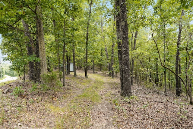 000 Buttermilk Spring Rd, Galena, MO 65656 - photo 6