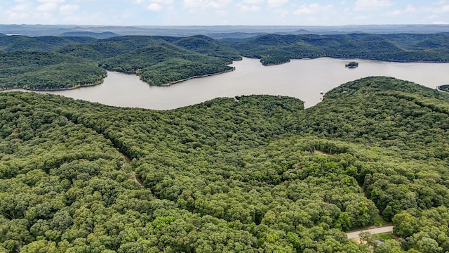 000 Buttermilk Spring Rd, Galena, MO 65656 - photo 12