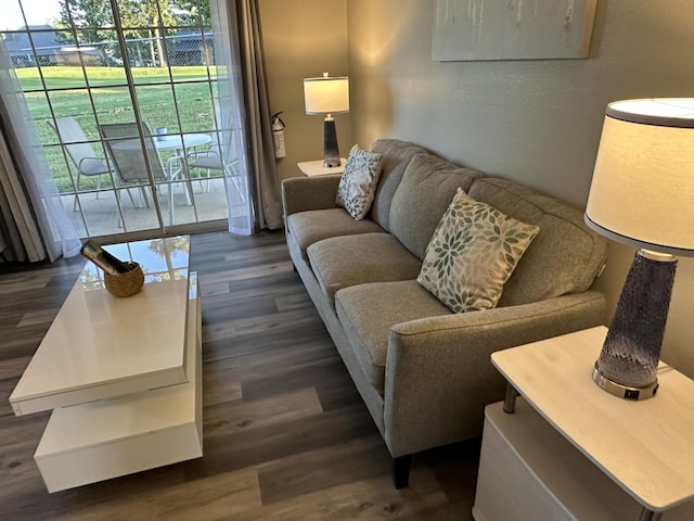 17 Fall Creek Trl Unit 4, Branson, MO 65616 - living room with dark wood finished floors