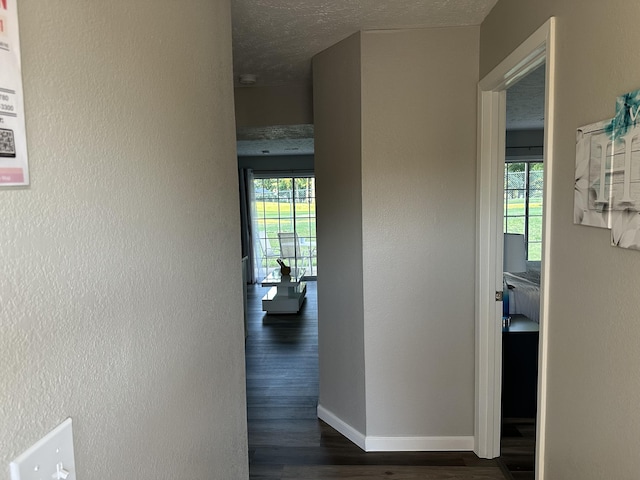 17 Fall Creek Trl Unit 4, Branson, MO 65616 - corridor featuring dark wood-style flooring, plenty of natural light, a textured wall, and a textured ceiling