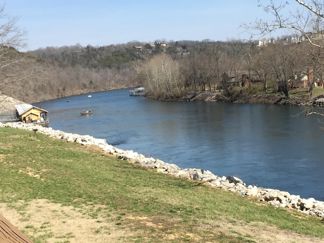 17 Fall Creek Trl Unit 4, Branson, MO 65616 - water view with a forest