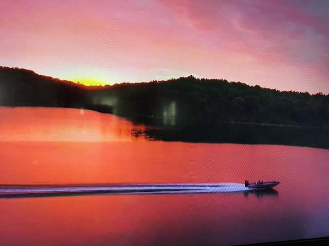 17 Fall Creek Trl Unit 4, Branson, MO 65616 - water view
