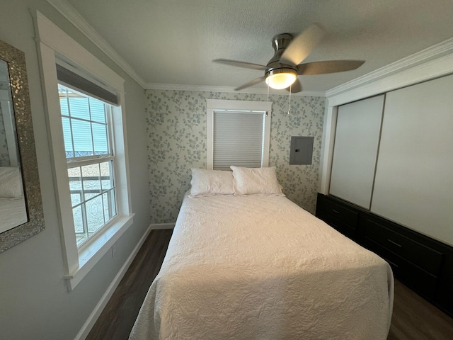 110 Blue-Bird Ln, Branson, MO 65616 - bedroom with crown molding, dark wood-style flooring, a closet, ceiling fan, and electric panel