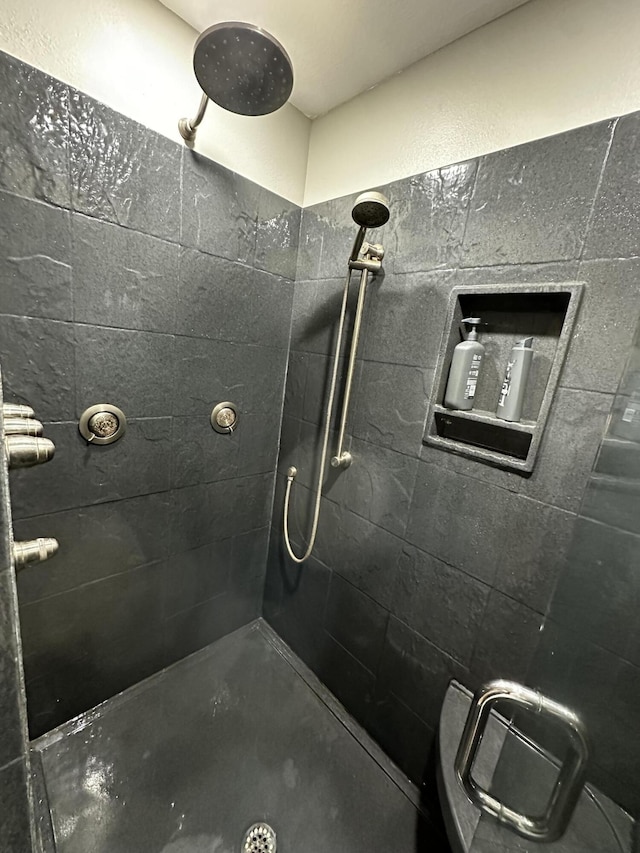 1179 N Pine St, Marshfield, MO 65706 - full bathroom featuring a tile shower