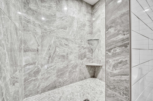 1251 S Rosemoor Dr, Nixa, MO 65714 - full bath with a tile shower